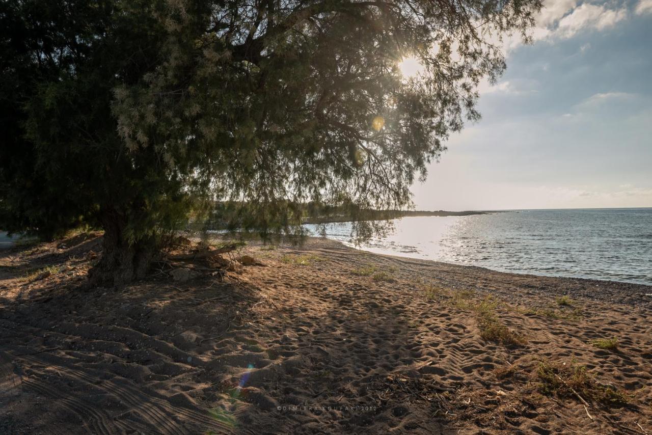 Alexandros Luxury House Villa Falasarna Buitenkant foto